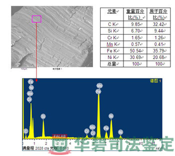 进气增压器能谱图