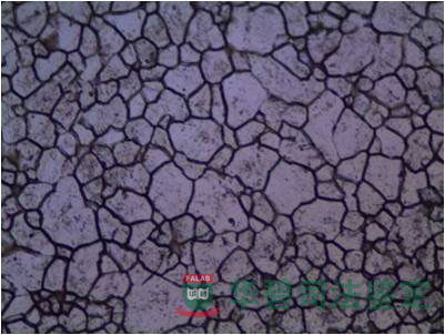 晶粒度测量图片
