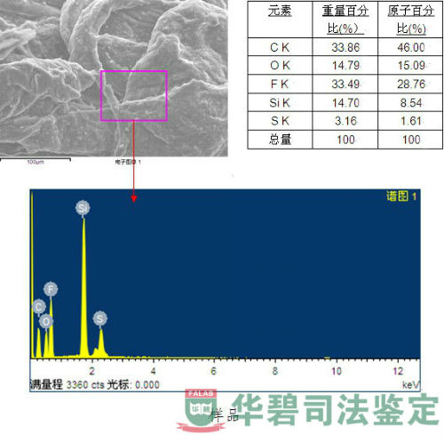 样品能谱图片