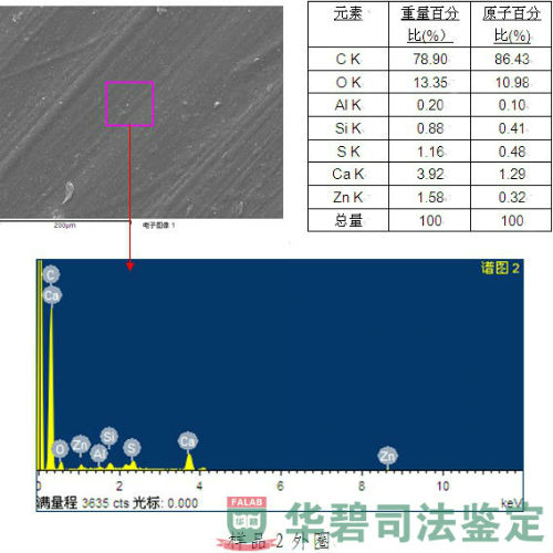 辊道密封能谱图片