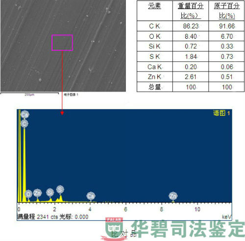 辊道密封能谱图片1