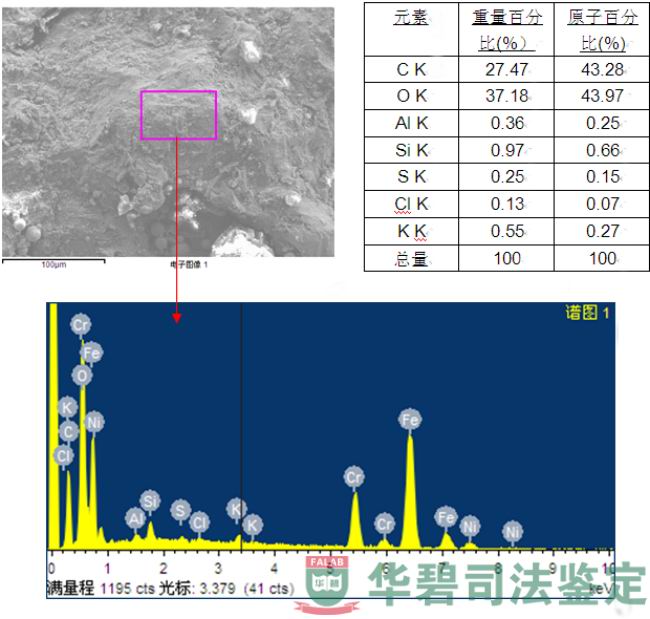 裂缝断口能谱图-1