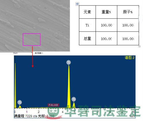 检材能谱