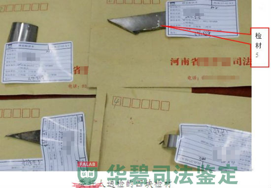 检材